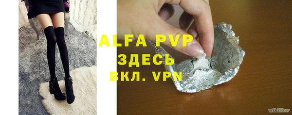 крисы Коряжма