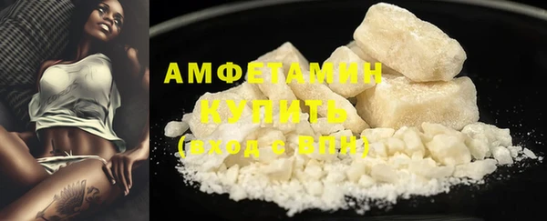 крисы Коряжма