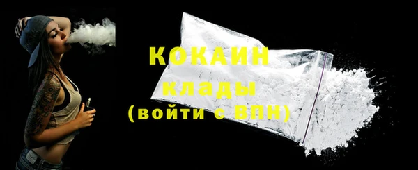 крисы Коряжма