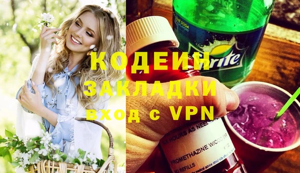 крисы Коряжма