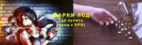PSILOCYBIN Костерёво