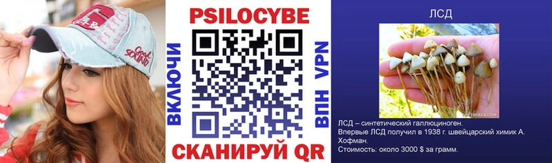 Купить закладки  Билибино  Галлюциногенные грибы Psilocybine cubensis 